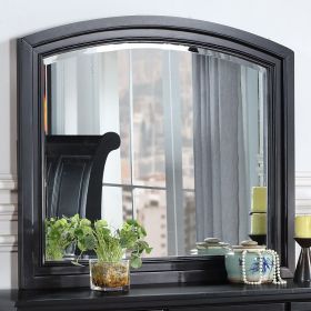 Meade G8925-M Mirror , Black