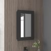 Juno 25.7" H x 15.7" W Narrow Mirror Medicine Cabinet, One door with Three interior Shelves for Bathroom, Kitchen Black