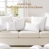 puredown 18x18 Pillow Inserts Set of 2, Fluffy Overfilled Down Alternative Decorative Pillows, Soft Plush Throw Pillows for Couch, Sofa