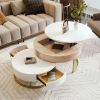 Modern Round Lift-top Nesting Coffee Tables with 2 Drawers